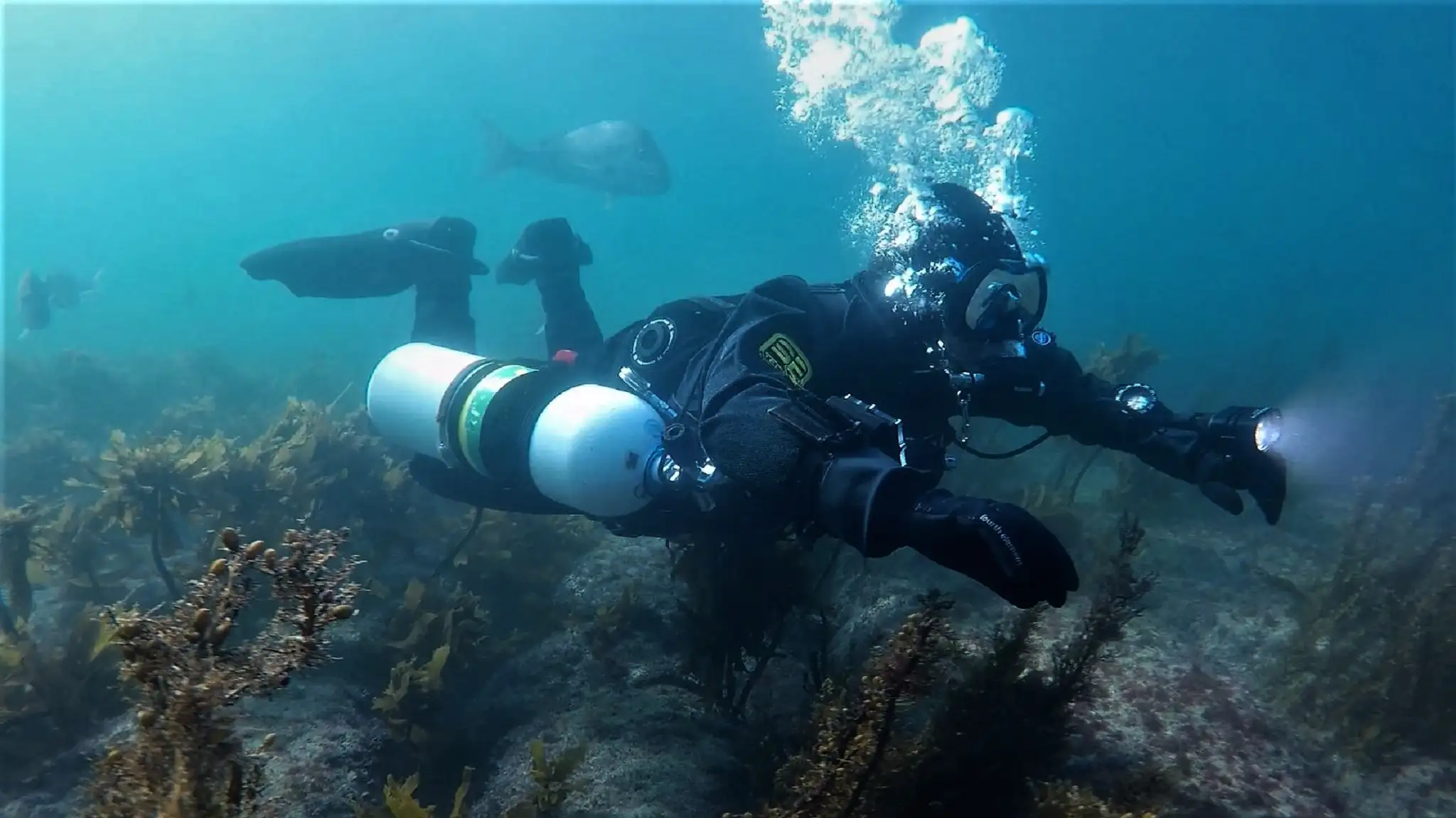 sidemount